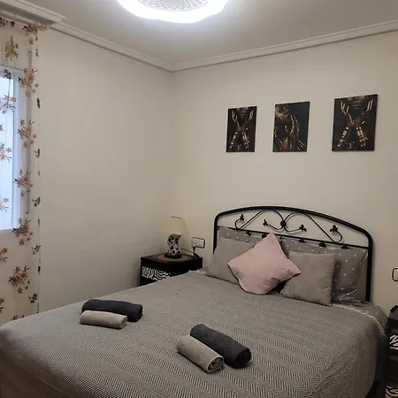 Cozy In 公寓 托雷维耶哈